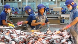 20 doanh nghiệp Việt Nam sang khảo sát thị trường Italia, Hà Lan