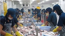 Doanh nghiệp Bỉ gặp thuận lợi khi triển khai dự án tại Việt Nam