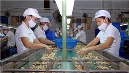 Việt Nam thúc đẩy thiết lập kênh xuất khẩu hàng hóa vào Italy