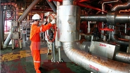 Vietnam, Russia foster cooperation in oil and gas