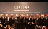 MoIT will submit CPTPP for approval by year-end