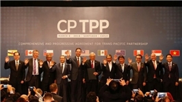 MoIT will submit CPTPP for approval by year-end