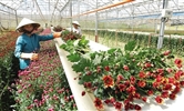 Vietnam aims to facilitate agriculture investment
