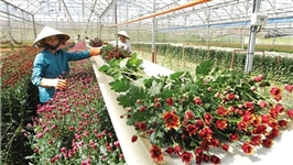 Vietnam aims to facilitate agriculture investment