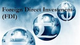 Đầu tư nước ngoài năm 2013 đạt 22,35 tỷ USD_hoa